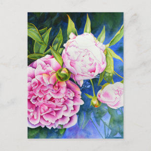 Elegantens rosa, vit klassisk blommigt med vattenf vykort