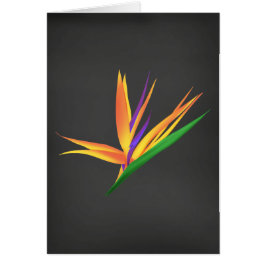 Elegantens Tack för din sympati Hälsningskort