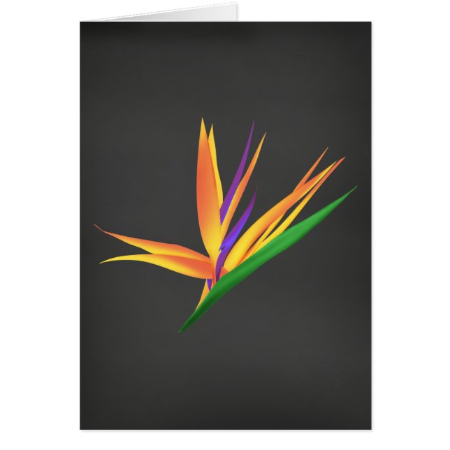 Elegantens Tack för din sympati Hälsningskort (Framsidan)