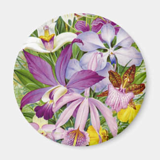 Elegantens Vintage/antika Orchids Magnet