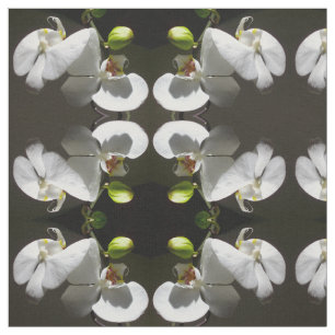 Elegantens vita, orkidébildens tropiska vita blomm tyg