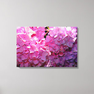 Eleganter för romsk rosa blommigt canvastryck