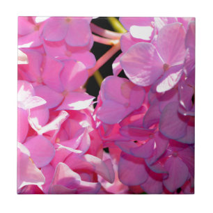 Eleganter för romsk rosa blommigt kakelplatta