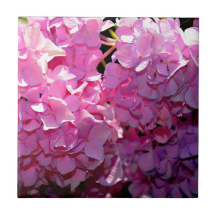 Eleganter för romsk rosa blommigt kakelplatta