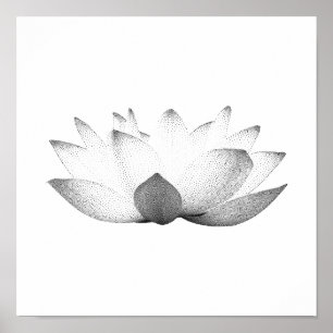 Elegantsvart & vitlotusblommablommigt poster
