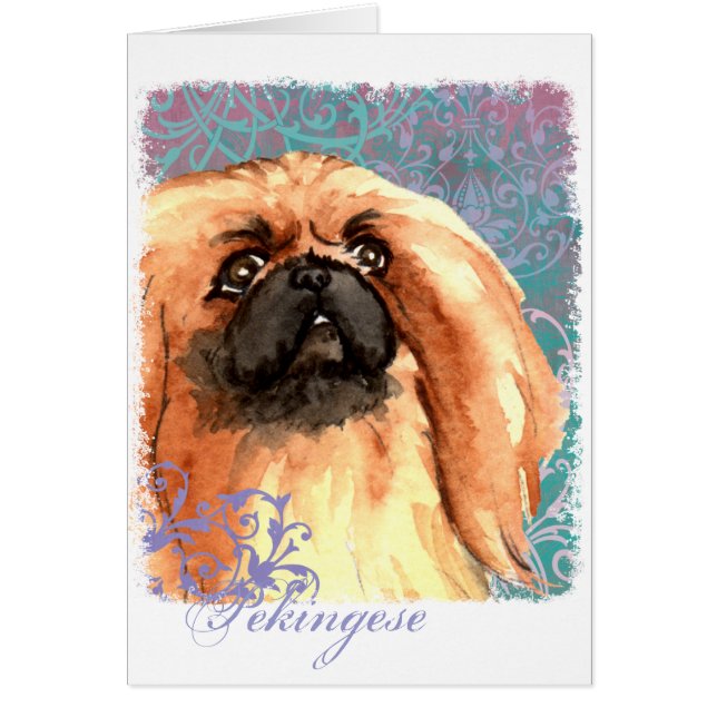 Elegantt Pekingese kort (Framsidan)