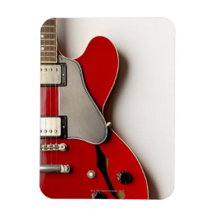 Elektrisk gitarr 12 magnet