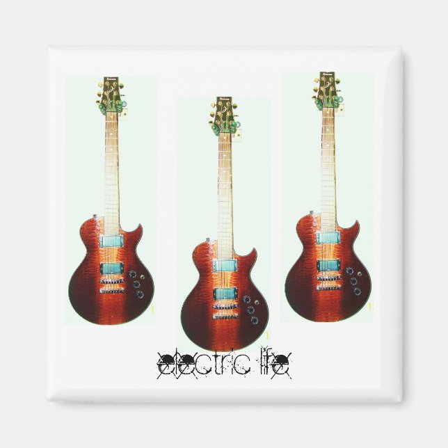 elektrisk livsmagnet magnet (Framsidan)