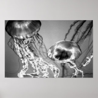 Elektriska geléer poster