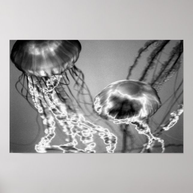 Elektriska geléer poster (Framsidan)