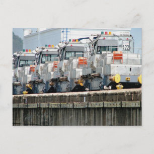 Elektriska "mulor", Pedro Miguel Locks, Panama Can Vykort