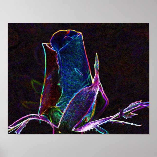 Elektriska Rosenknoppar, blombild Poster (Framsidan)