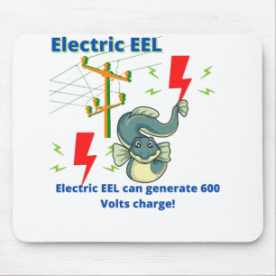 Elektriskt EEL kan generera 600 volt Musmatta