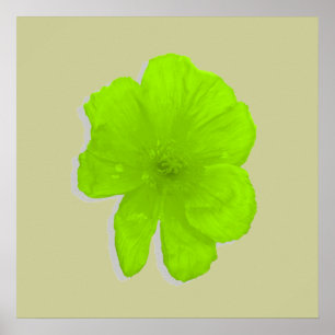 Elektriskt kalk/poppstblomma poster