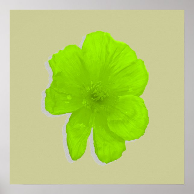 Elektriskt kalk/poppstblomma poster (Framsidan)