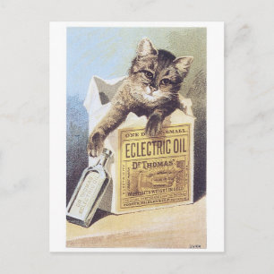 Elektriskt Olje-Kitten Byteskort Vykort