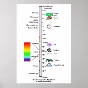 Elektromagnetisk Spectrum (våglängdjämförelsen) Poster
