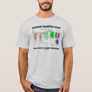 Elektrontransport kedjar slutskedet av aerobiskt t shirt