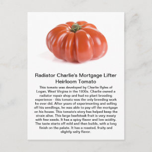 Element Charlie - inteckna lyftarmHeirloomtomaten Vykort