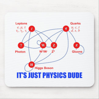 Elementarpartiklar av Quarks för fysikHiggs Boson Musmatta
