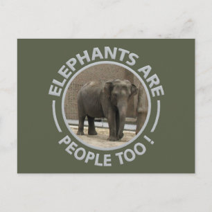 ELEPHANS-vykort Vykort