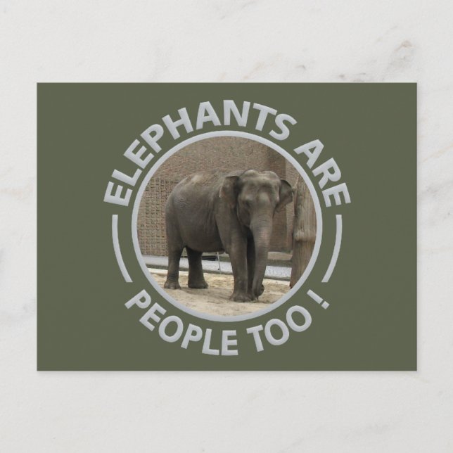ELEPHANS-vykort Vykort (Framsida)