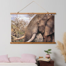 Elephant Älskare Art