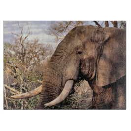 Elephant Älskare Art