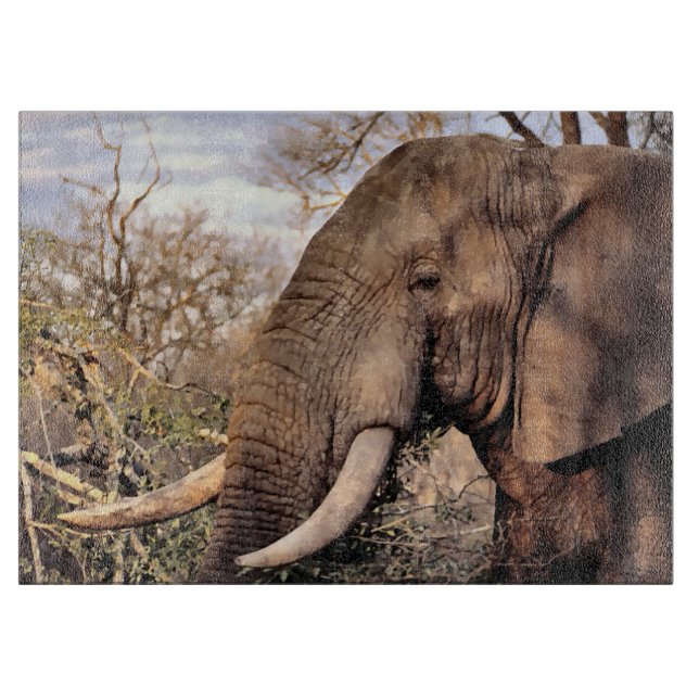 Elephant Älskare Art (Framsidan)