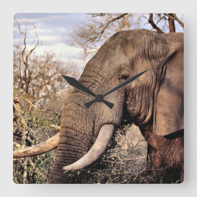 Elephant Älskare Art Fyrkantig Klocka (Framsida)