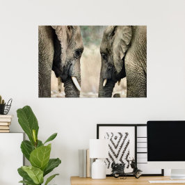 Elephant Älskare Art Gifts Poster