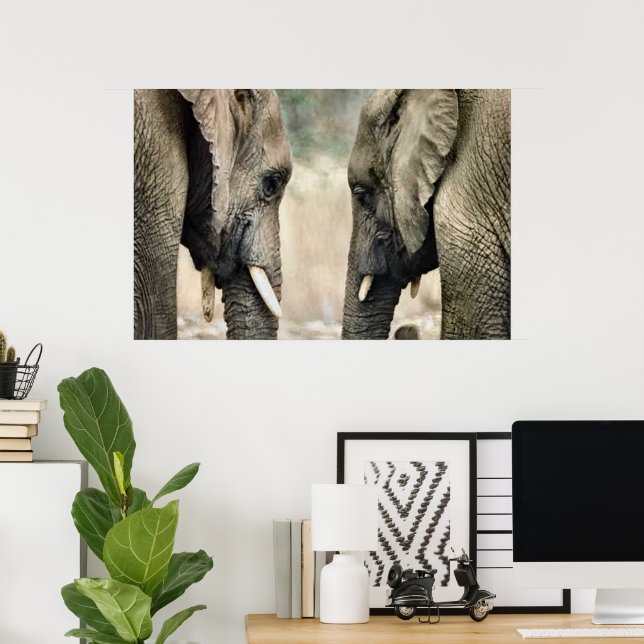 Elephant Älskare Art Gifts Poster (Hemmakontoret)