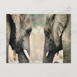 Elephant Älskare Art Gifts Vykort