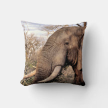 Elephant Älskare Art