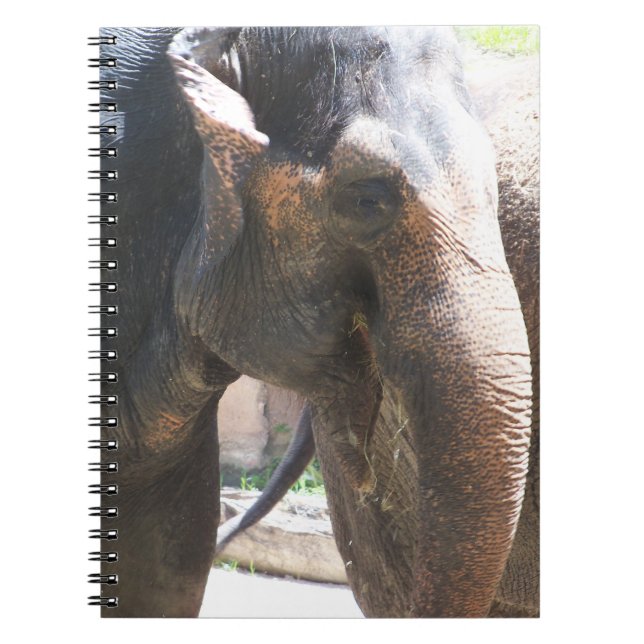 Elephant ansikte anteckningsbok (Framsidan)