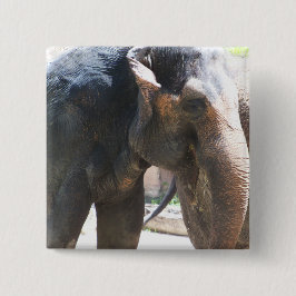 Elephant ansikte knapp