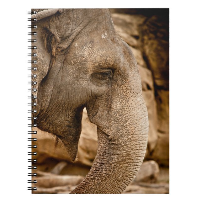 ELEPHANT ANTECKNINGSBOK (Framsidan)
