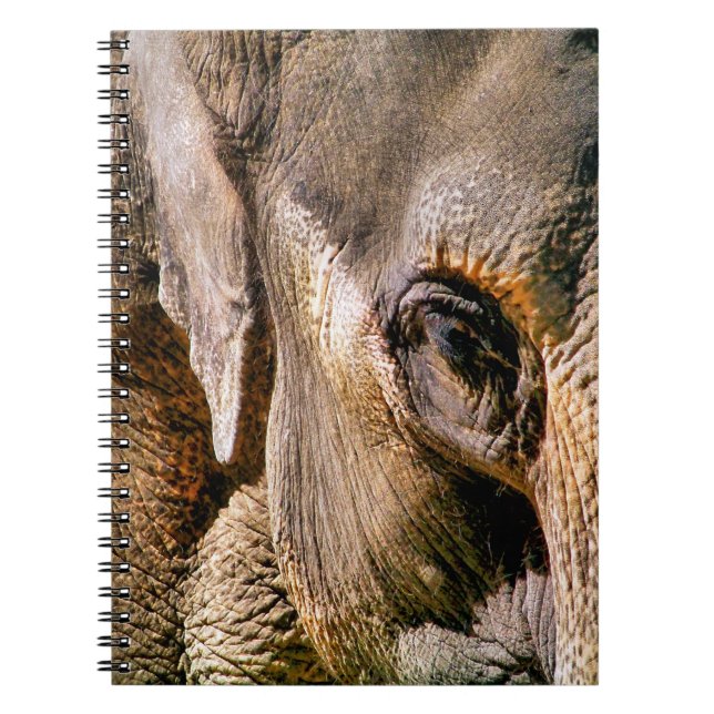 ELEPHANT ANTECKNINGSBOK MED SPIRAL (Framsidan)