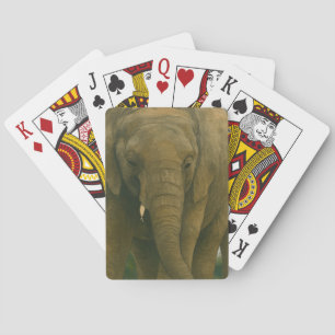 Elephant Assions in Savannah Light Casinokort