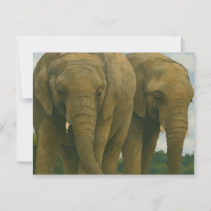 Elephant Assions in Savannah Light Vykort