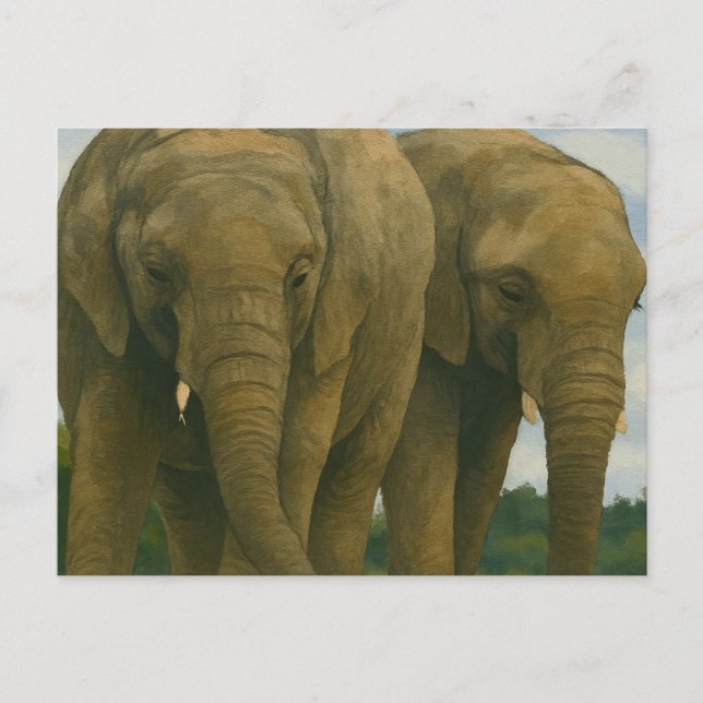 Elephant Assions in Savannah Light Vykort (Framsida)