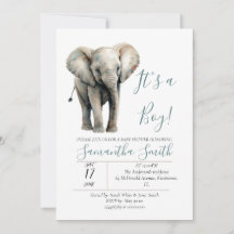 Elephant Baby Shower är ett pojktema