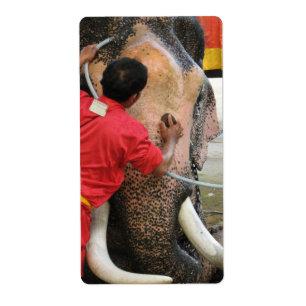 Elephant Bathtime ... Ayutthaya, Thailand Fraktsedel