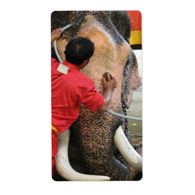 Elephant Bathtime ... Ayutthaya, Thailand Fraktsedel (Framsidan)