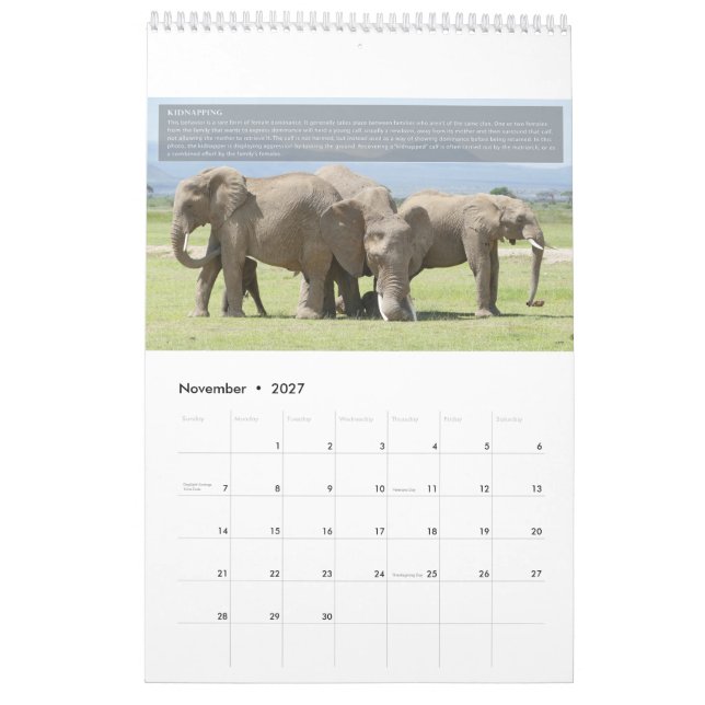 Elephant Behavior Calendar Kalender (Nov 2027)
