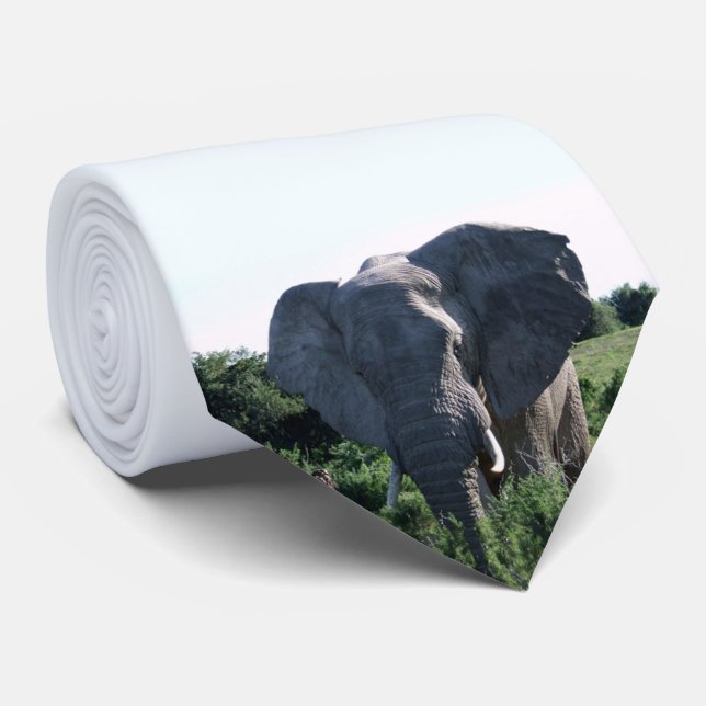 Elephant Big Öron Slips (Rullad)