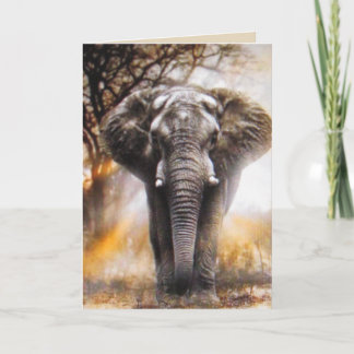 Elephant Birthday Card Kort