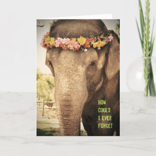 Elephant Birthday Card Kort
