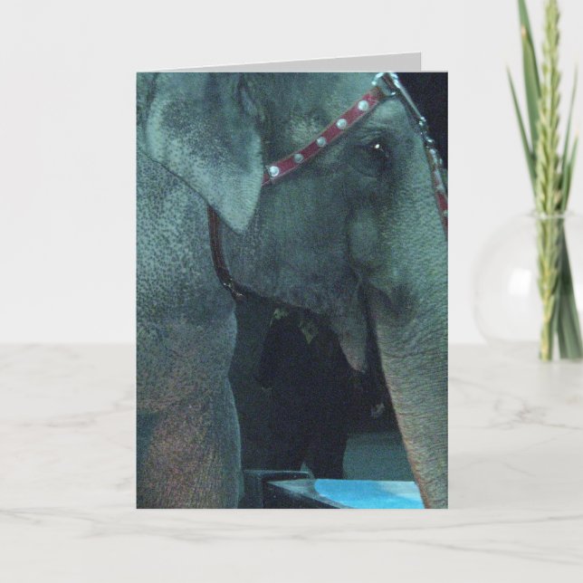 ELEPHANT BIRTHDAY Card Kort (Framsida)