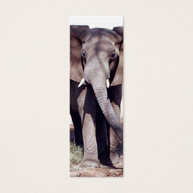 Elephant Bookmark Litet Visitkort (Framsidan)